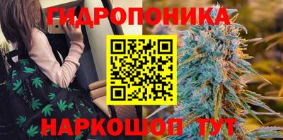 герыч Новокубанск