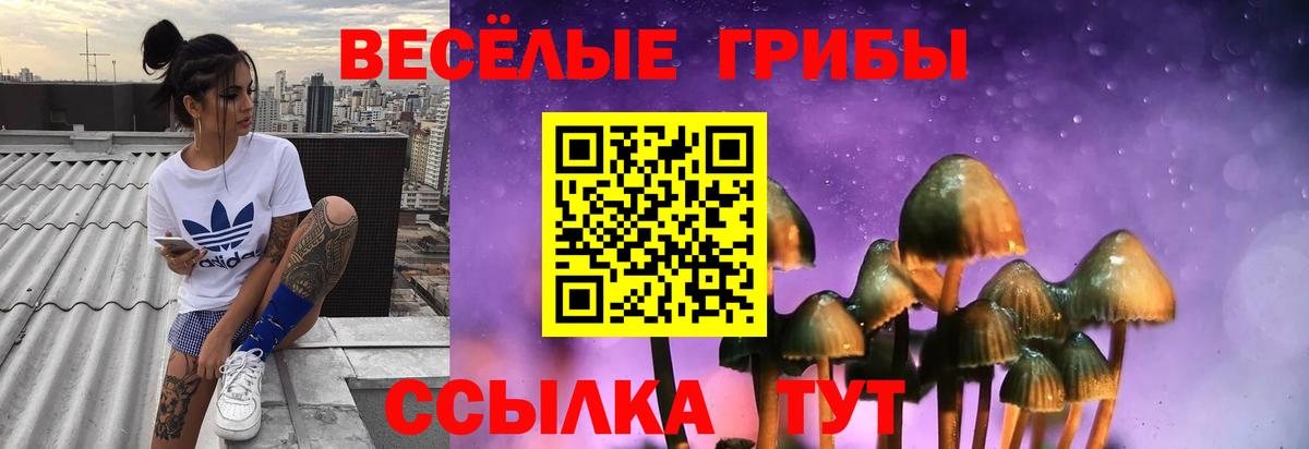 Строитель  где можно купить   Вход с VPN  Галлюциногенные грибы MAGIC MUSHROOMS 